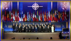 NATO75DC7924 b (14).jpeg